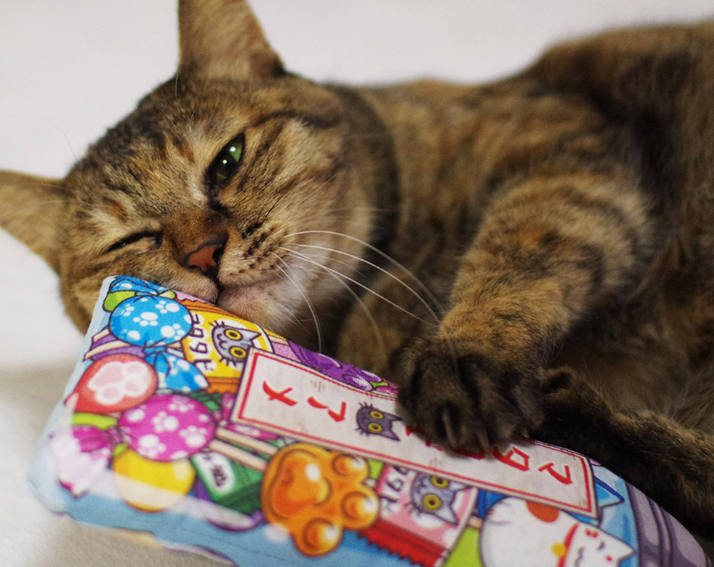 Best Japanese Handmade Cat Toys Your Cat Will Love on Amazon