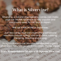 What is silvervine?