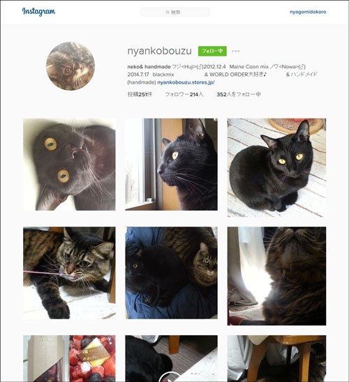 nyankobouzuさんに画像
