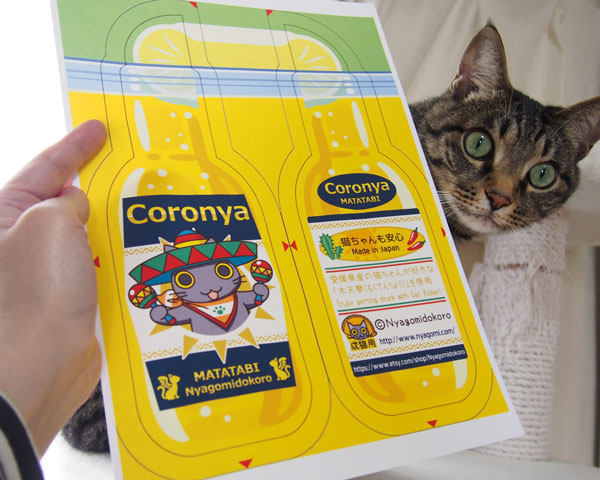 猫キッカー新作Coronya-画像