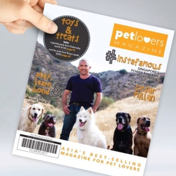 pet magazine