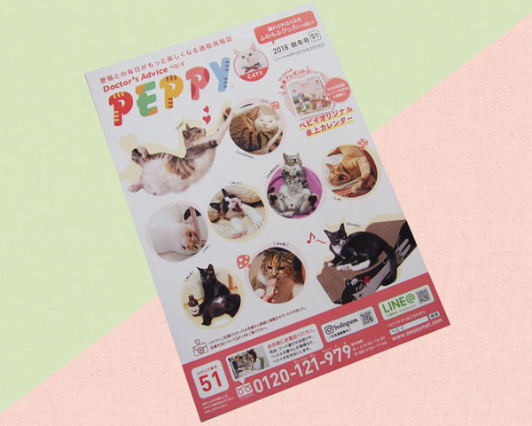 PEPPY(ペピイ)の通販、カタログの猫キッカー注文について