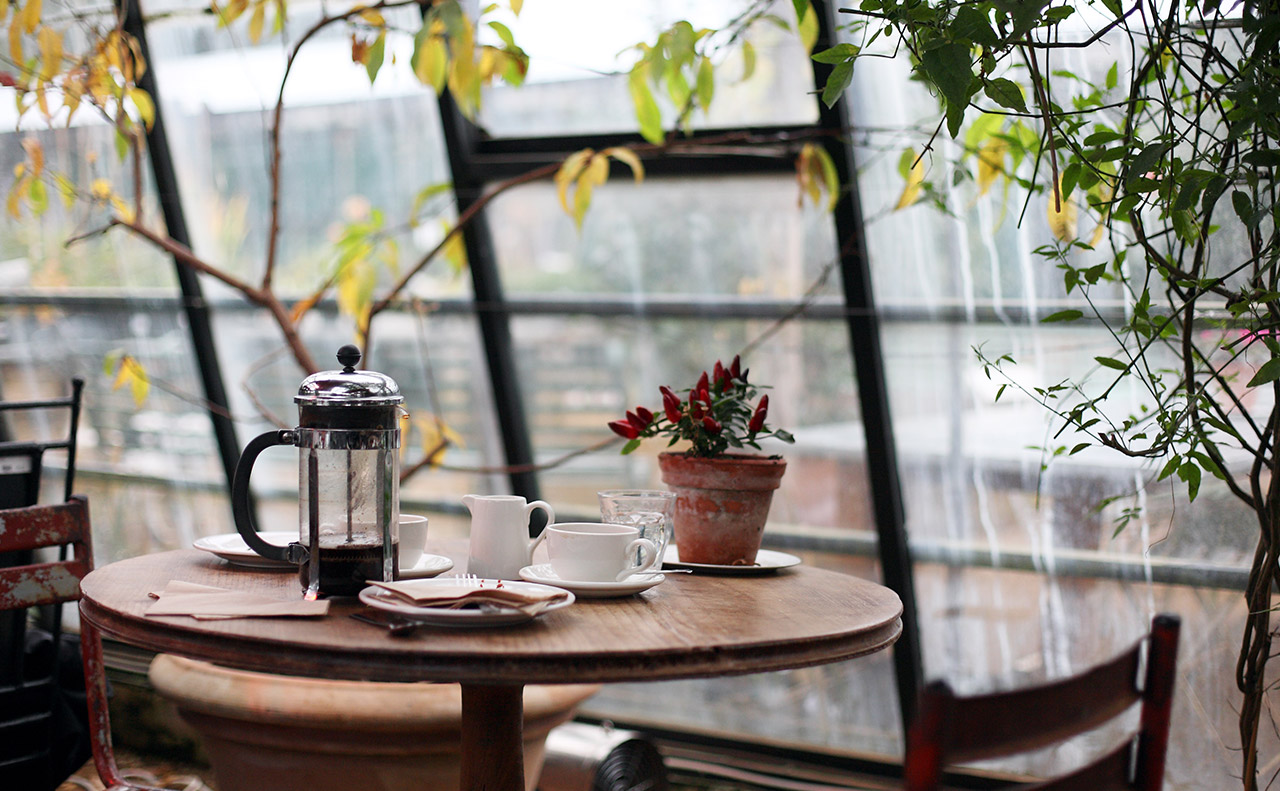 福岡の猫カフェ 猫雑貨店 猫スイーツ 猫スポットまとめ 猫のおもちゃと猫グッズのお店 にゃごみ処