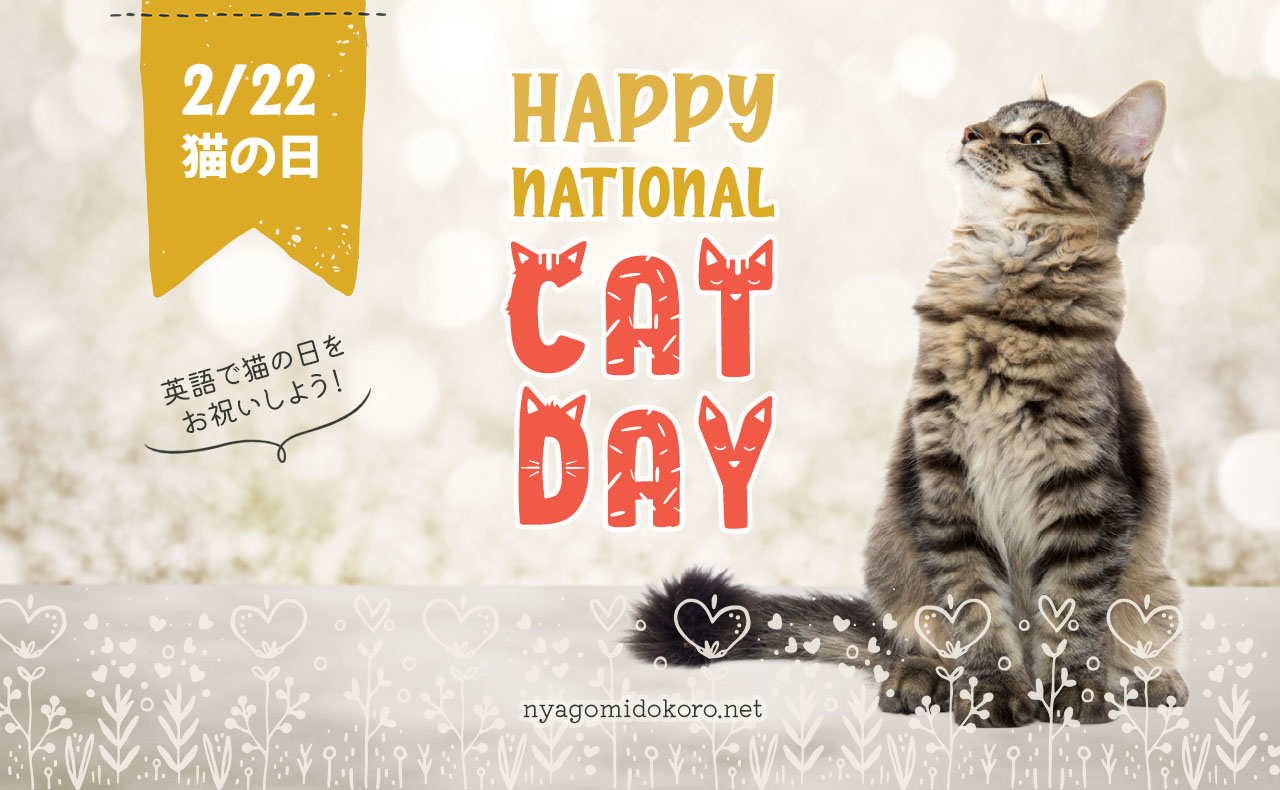 2 月 22 日
